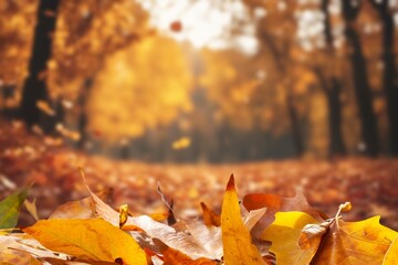 orange dry fall leaves in autumn park.