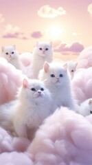 Cat animal mammal kitten.