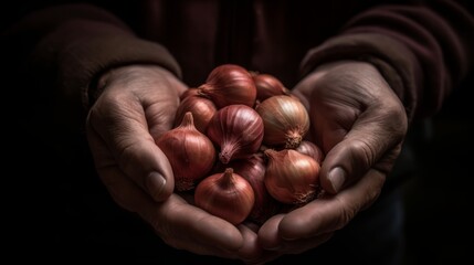 Hands Holding Fresh Shallots