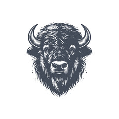 bison vector illustration