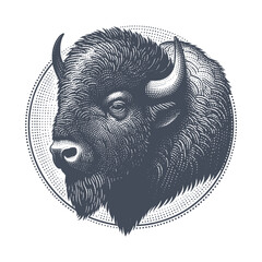 bison vector illustration © CROP MEDIA
