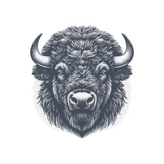 bison vector illustration