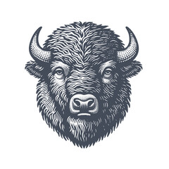bison vector illustration