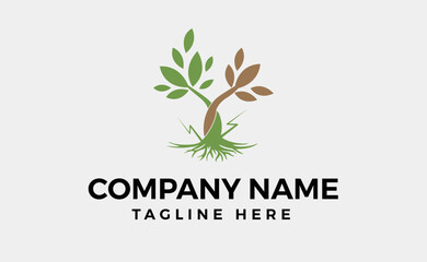 Root Leaf Tree of Maple Stamp Seal Emblem Label logo design vector on white background.