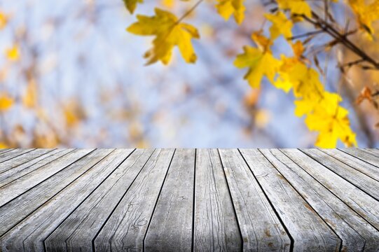 Fototapeta The empty blank wooden table with background of autumn.