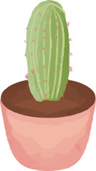 watercolor colorful cactus for doodle
