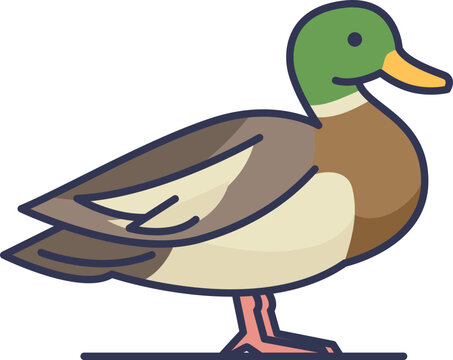 recommend clip art: Illustration of a duck with green head and brown body, standing on a flat surface.