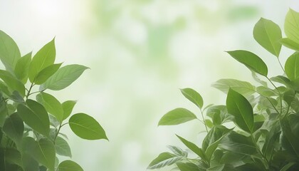 Fresh green leaves framing a blurred background, natural light, soothing atmosphere, copy space
