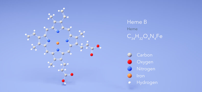 heme b molecule, molecular structure, heme, 3d model, Structural Chemical Formula and Atoms with Color Coding