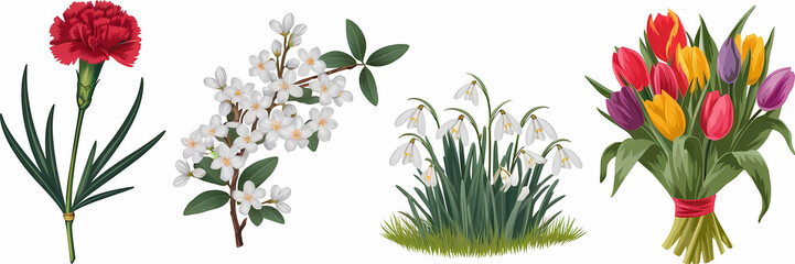 Obraz premium A red carnation with green leaves, a blossoming jasmine branch, a cluster of snowdrops in the grass, a colorful tulip bouquet, vector illustration