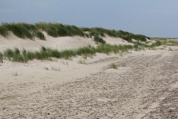 Skagen beach