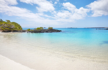 Fototapeta premium Beautiful beach on an uninhabited island, Galapagos Islands, Ecuador.