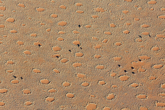 Aerial view from a hot-air balloon at the edge of the Namib Desert. NamibRand Nature Reserve, Namibia.