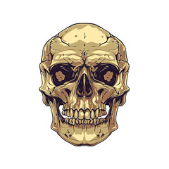 Fototapeta premium Detailed Human Skull Illustration with Empty Eye Sockets