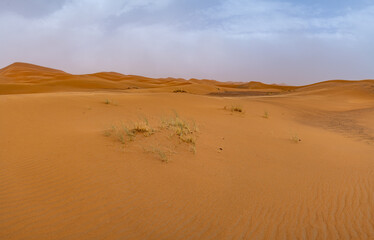 Paisajes de Marruecos

