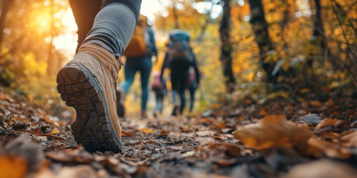 People hiking in forest autumn walking outdoor.