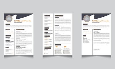 Clean Professional cv Design Modern Resume Layout

