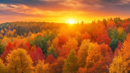 Fototapeta premium Golden Autumn Sunset Over a Vibrant Forest