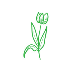 plant with roots