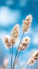  A tight shot of a plant against a backdrop of a blue sky, dotted with clouds