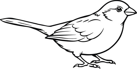 Robin with a Round Body Sitting: Fun and Easy Vector for Coloring Books
