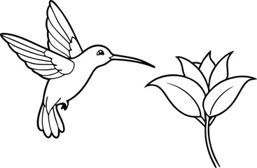 Obraz premium Create Art with Intricate Hummingbird Vector Designs for Coloring Books 