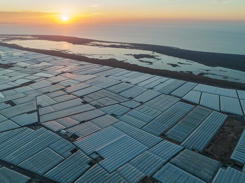 Aerial view of Masses of shimmering plastic greenhouses near El Ejido. Aerial view. Drone shot. Almer&iacute;a province, Andalusia, Spain.