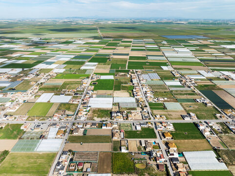 Aerial view of The semi rural district of La Algaida with its cultivated fields next to Sanl&uacute;car de Barrameda. Aerial view. Drone shot. C&aacute;diz province, Andalusia, Spain.