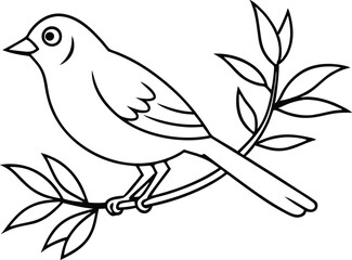 Round Robin Vector Illustration: A Cute Design for Coloring Book Fun
