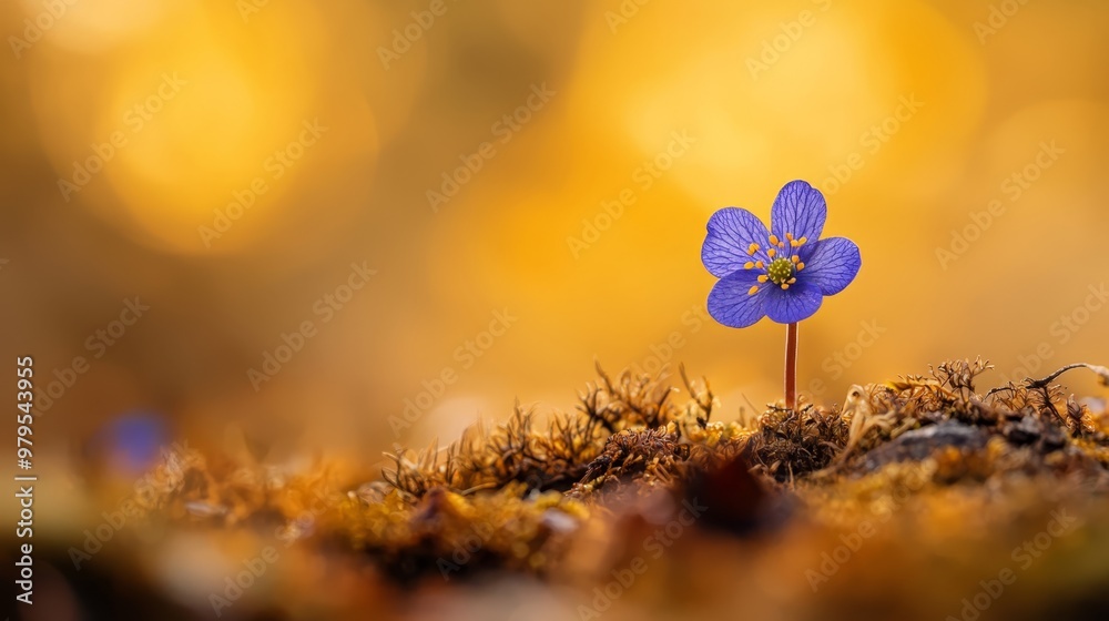 Sticker  A small blue flower sits atop a patch of verdant grass, contrasting the surrounding dirt