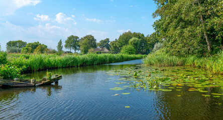 Fototapeta premium Giethoorn, sehenswertes Dorf in Holland