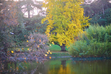 Colorful autumn trees in Montsouris park, Paris, France on a fall day.