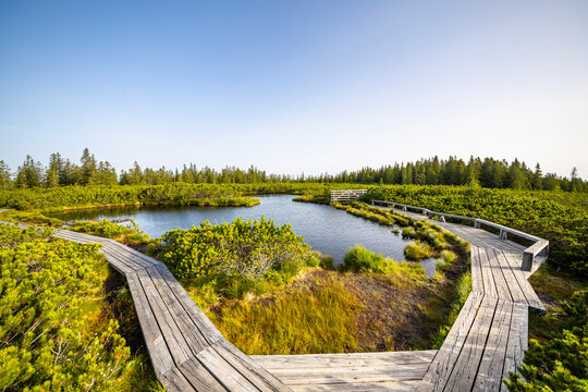 View of serene Lovrenska jezera lake surrounded by lush forest and a wooden boardwalk, Rogla, Slovenia.