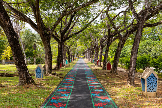 View of serene tree-lined walkway in a tranquil park, Kuah, Malaysia.
