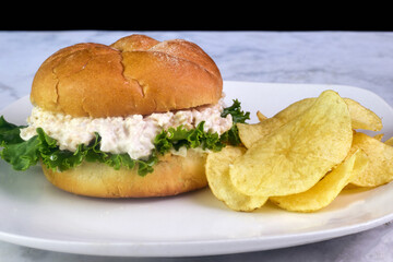 chicken salad  sandwich  and a side of chips