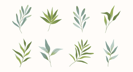 Vector set of green summer and spring branches and leaves.Simple elements for botany emblem design.Organic logo templates.Hand drawn floral illustrations for prints,flyers,banners,invitations,branding