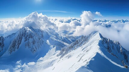 Winter mountain fir forest snowy panorama

