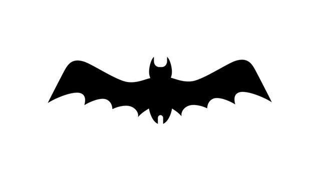 Bat flying animation on transparent background. Halloween. 4K alpha channel