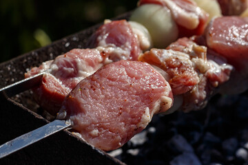 Raw pork shashlik before cooking