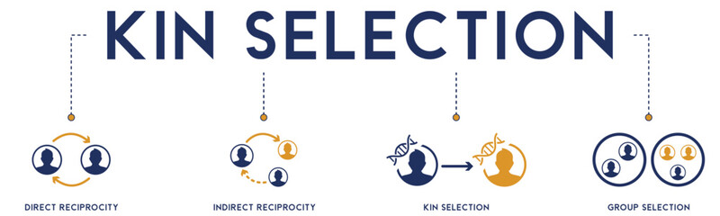 Kin Selection banner website icons vector illustration concept of with icons of direct reciprocity, indirect reciprocity, kin selection, group selection on white background