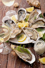 Fresh Oysters with a Glass of White Wine – Gourmet Seafood Experience
