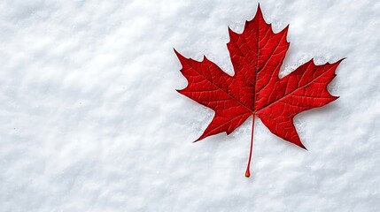 A vibrant red maple leaf rests gracefully on a bed of snow, a striking contrast of color and season.