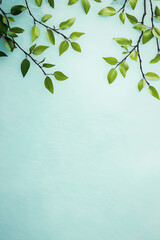 A green leafy tree with many leaves is shown on a white background
