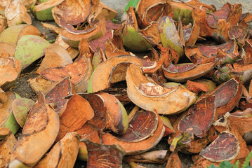 Sepet sabut kelapa, coconut coir husk or coconut shell, Dry coconut fiber fibrous brown.