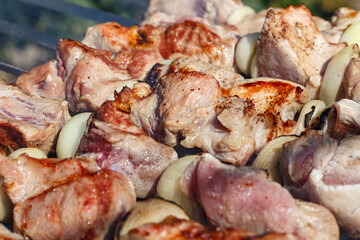 Delicious pork shashlik is cooked on the grill.