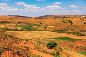 Obraz premium Typical Madagascar landscape rice terrace fields