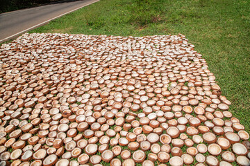 Copra is the dried flesh coconut fruit.