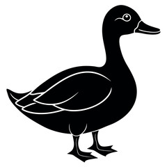       Beautiful duck silhouette vector illustration.
