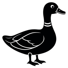       Beautiful duck silhouette vector illustration.
