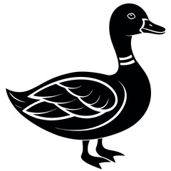       Beautiful duck silhouette vector illustration.
